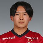 鹿岛鹿角