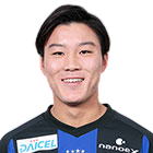 冈山绿雉