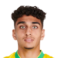 南特