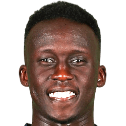 新泻天鹅